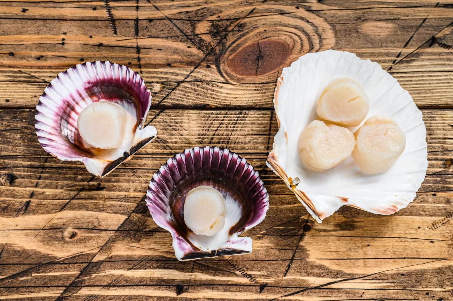 How to Tell If Scallops Are Bad?