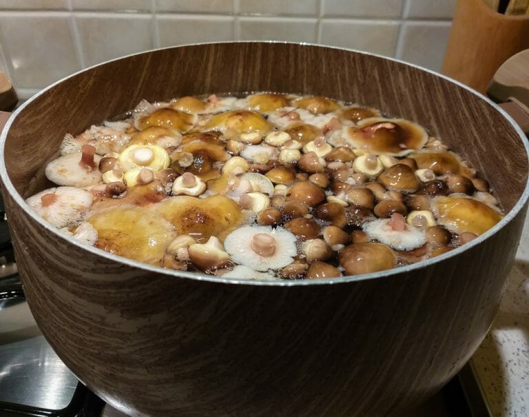 How to Store Cooked Mushrooms (Refrigerator & Freezer Tips)