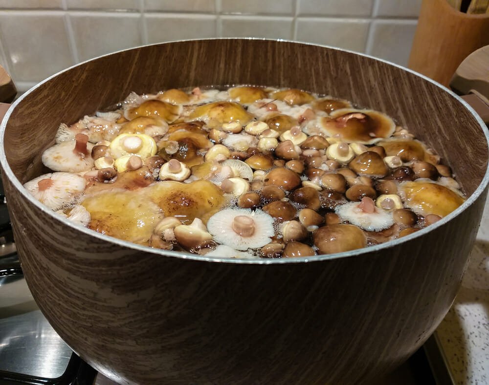 How to Store Cooked Mushrooms (Refrigerator & Freezer Tips)