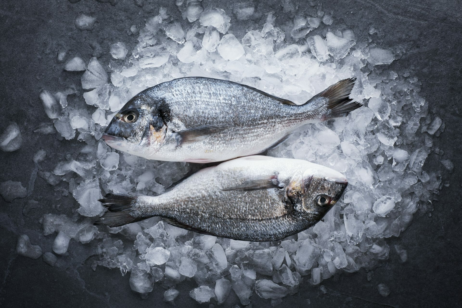 How Long Does Fresh Fish Last?