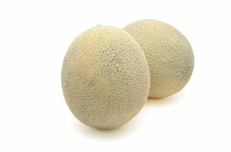 How To Tell if Cantaloupe is Bad?